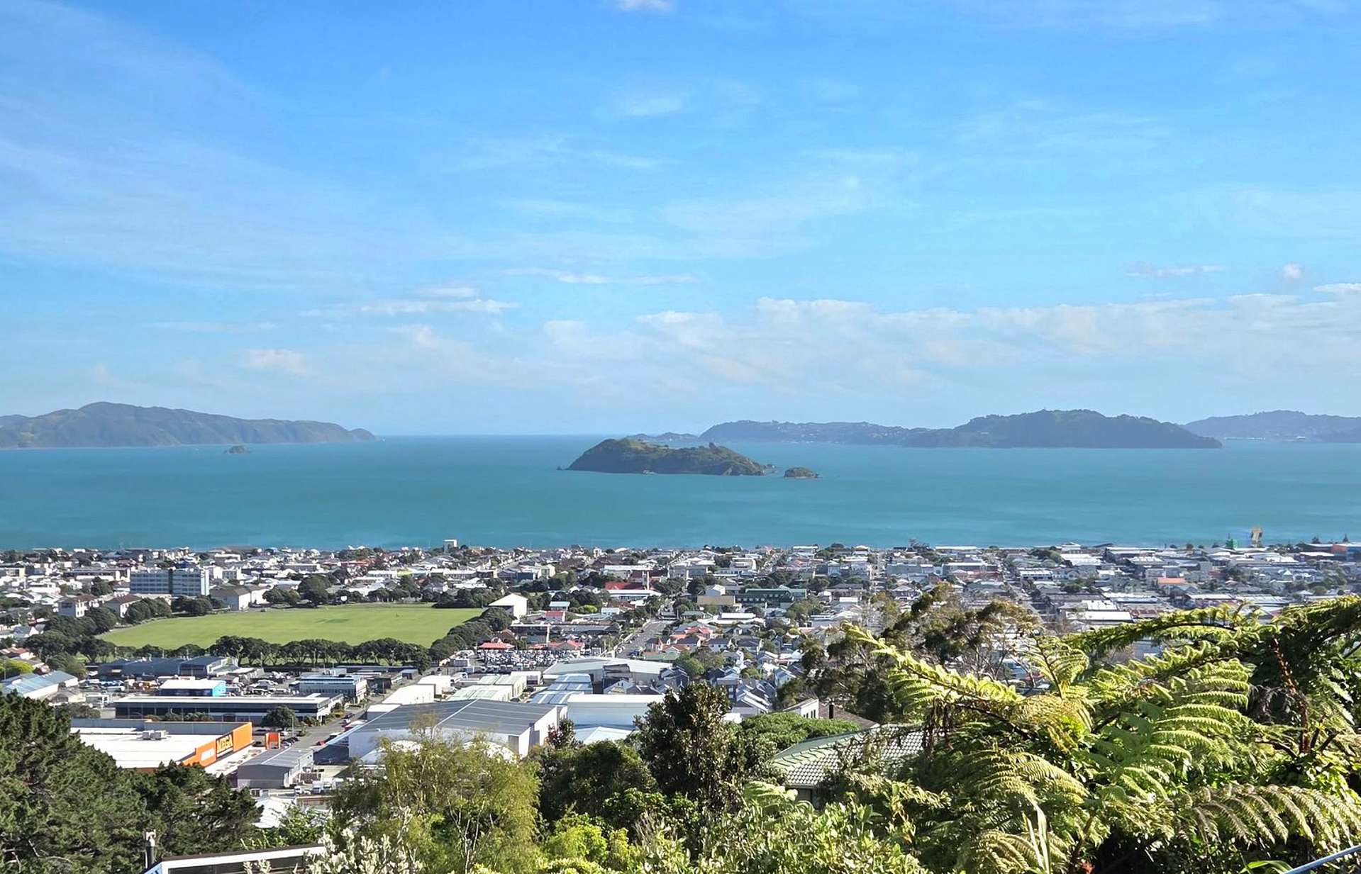 3 Chestnut Grove Maungaraki_0