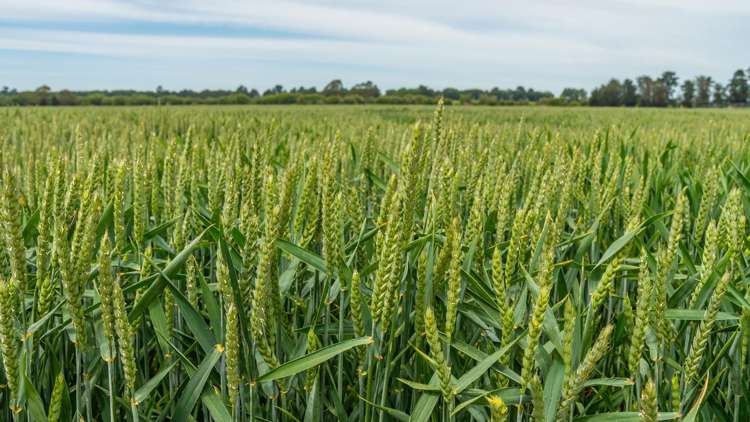 190 Bennetts Road Cust_19