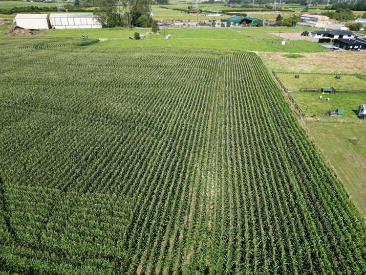 Monmouth Road Stratford_5