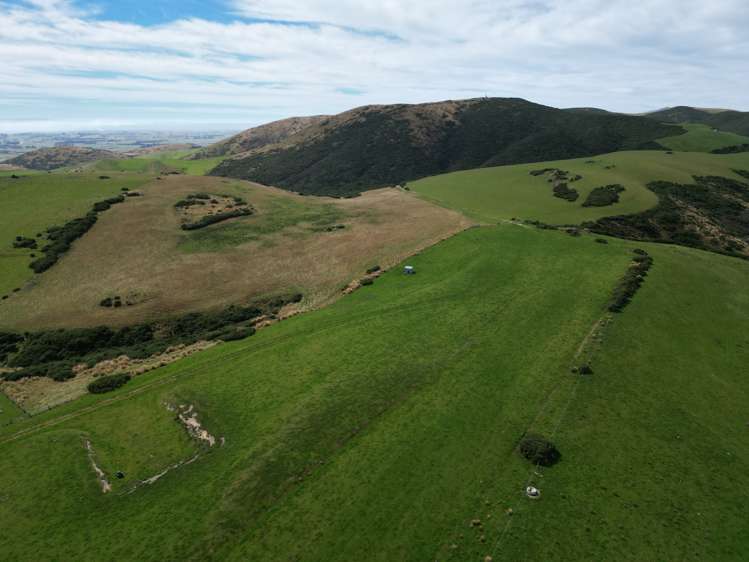 124 Strathearn Road Wairuna_4