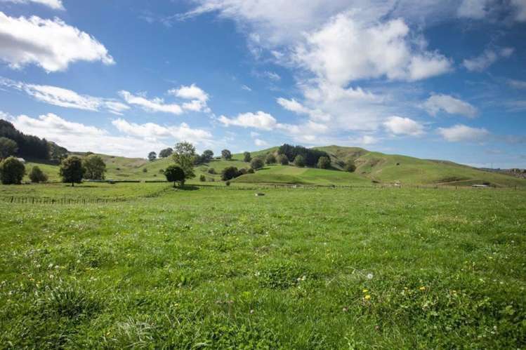 244 Whawharua Road Otorohanga_1