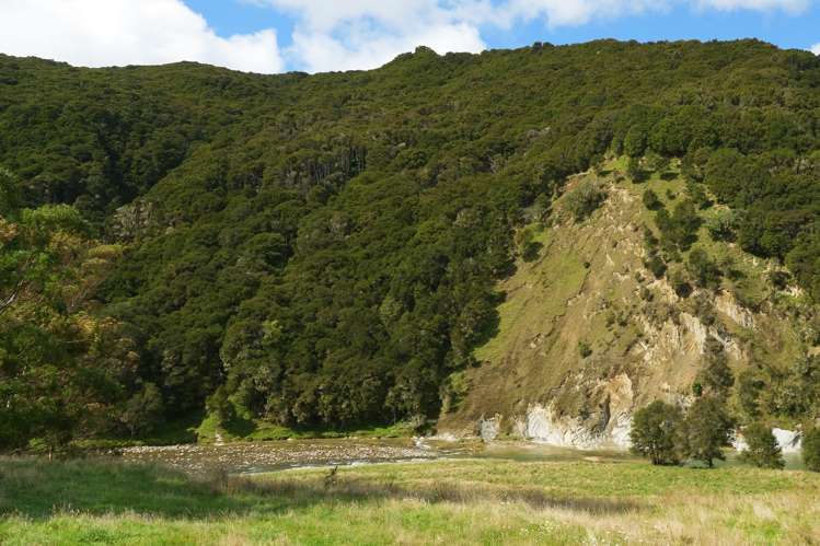 Lot 2 Ruakituri Road_5