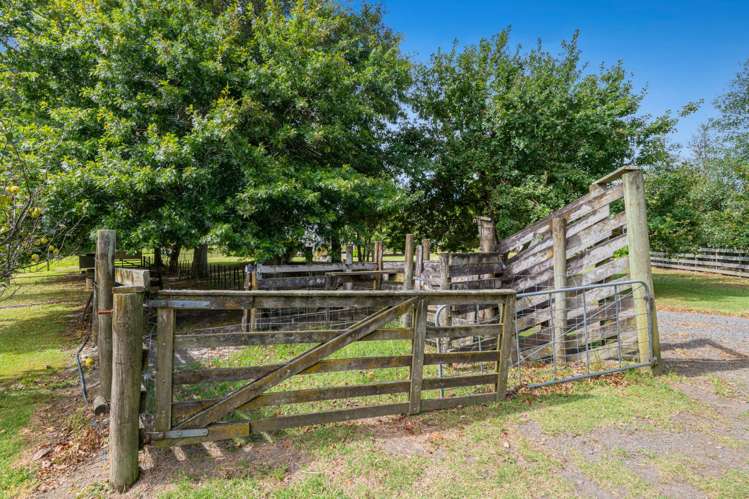 6 Kanohi Road Kaukapakapa_42