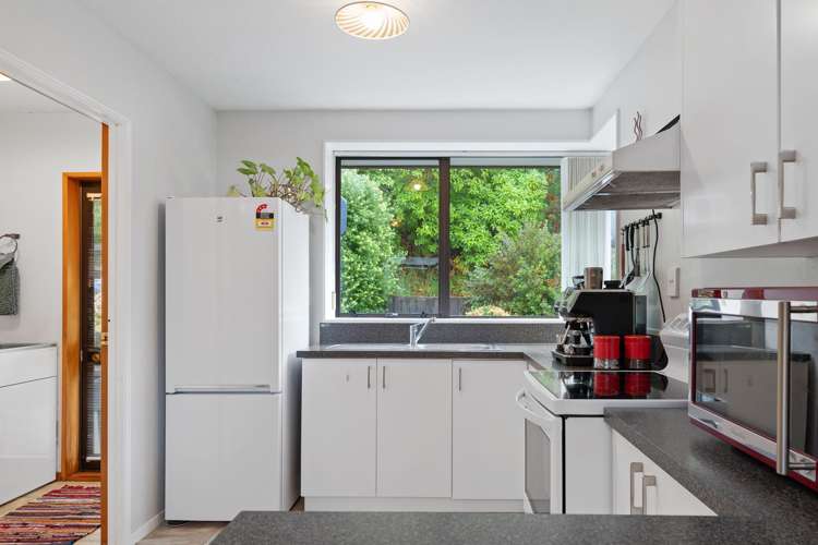 1/8 Torvill And Dean Lane Cashmere_9