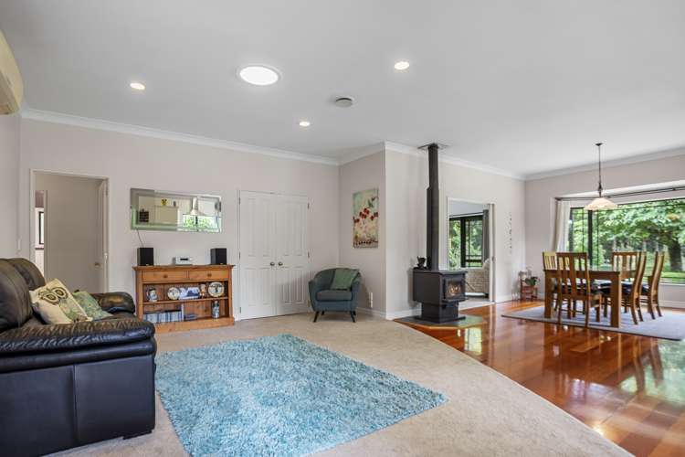 21 Thorn Road Kaimai_10
