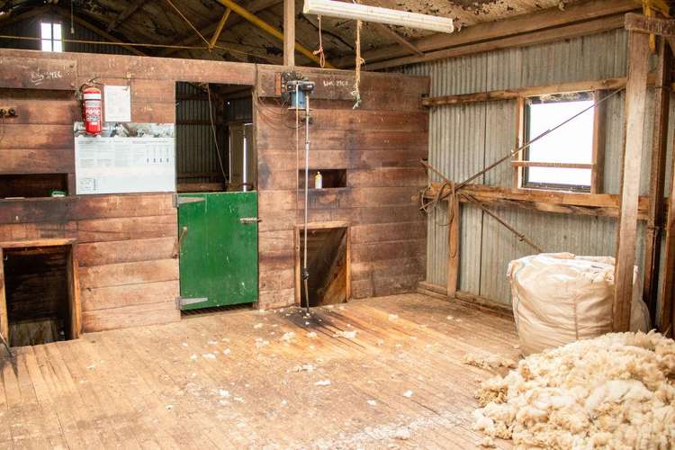 203 Paua Bay Road Akaroa_10