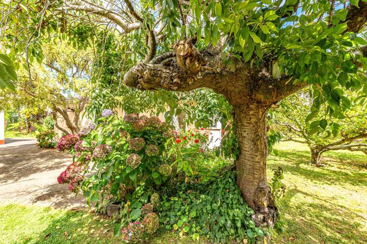 28 Rimu Street Gonville_24