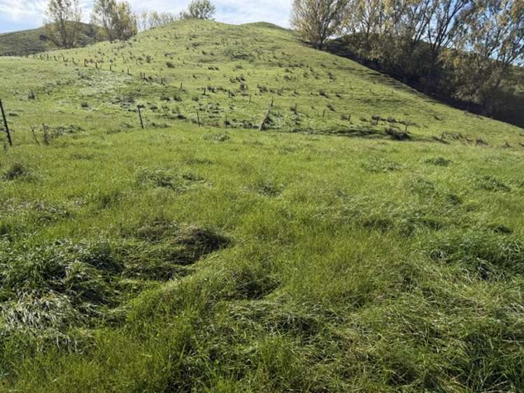 235 Te Ore Ore-Bideford Road Masterton_12