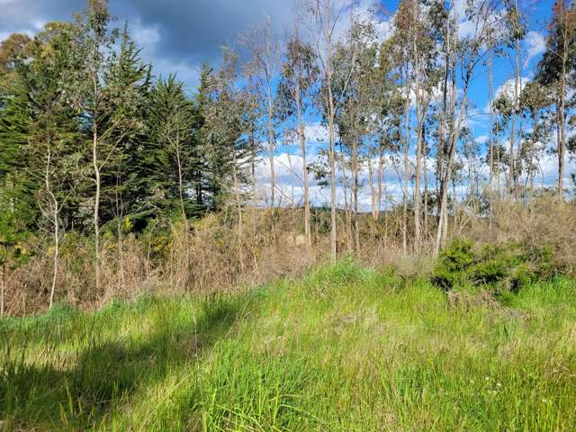 200 Nightcaps Ohai Highway Ohai_2