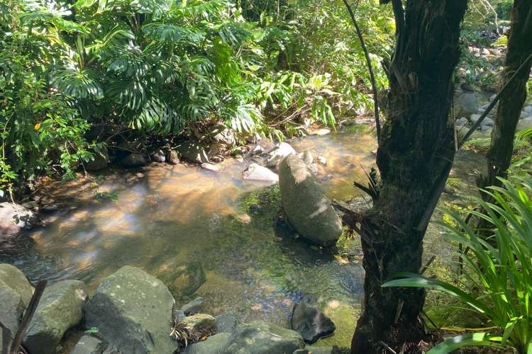 2 Otuturu Creek Road Thames_23