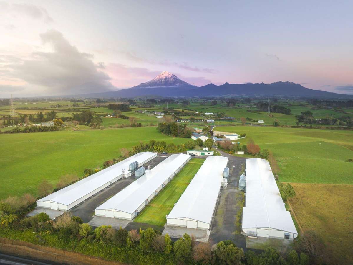 57-85 Thomason Road_0