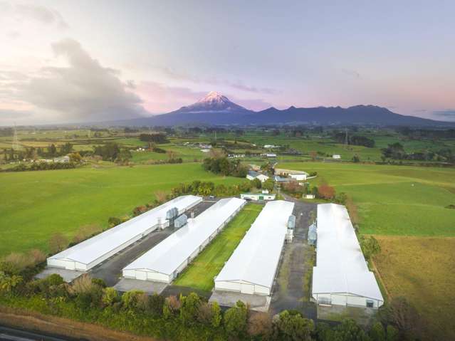 Multiple income streams, one rural investment