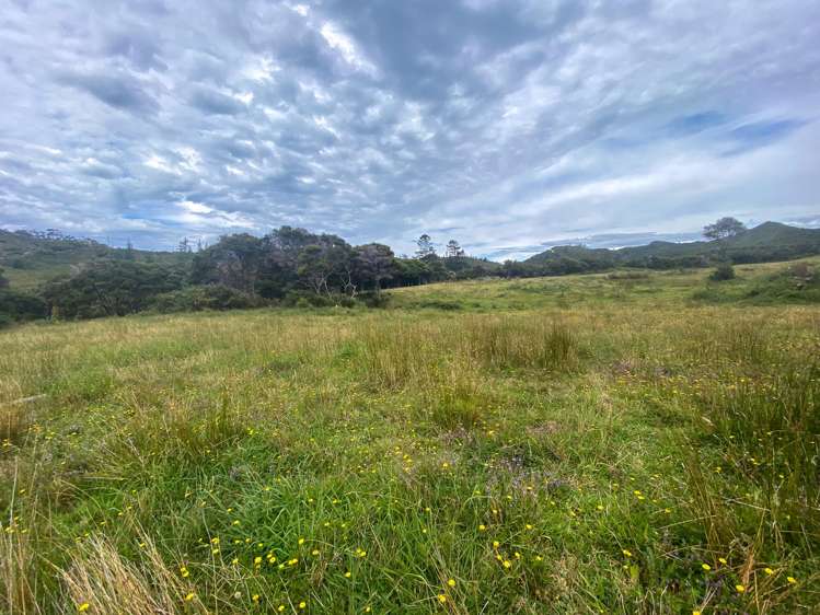 Lot 3/161 Wharariki Road Puponga_6