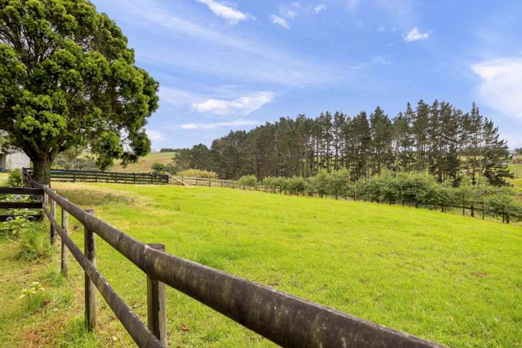 298 Rimmer Road Helensville_35