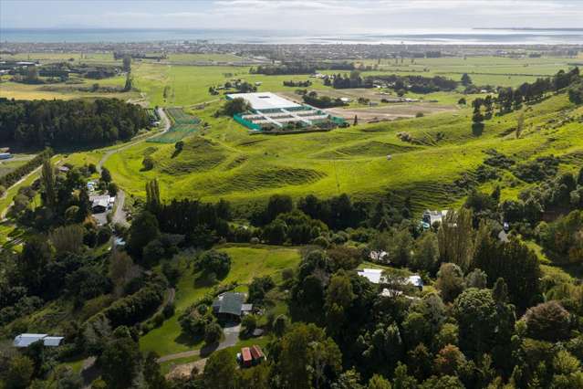 1162F Welcome Bay Road Papamoa_4