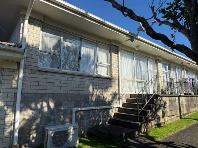Quiet and Sunny Living In Onehunga