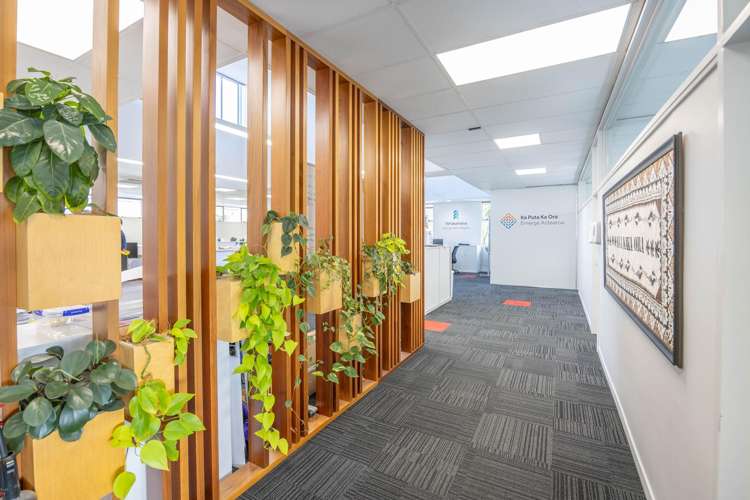 240 Tristram Street Hamilton Central_10