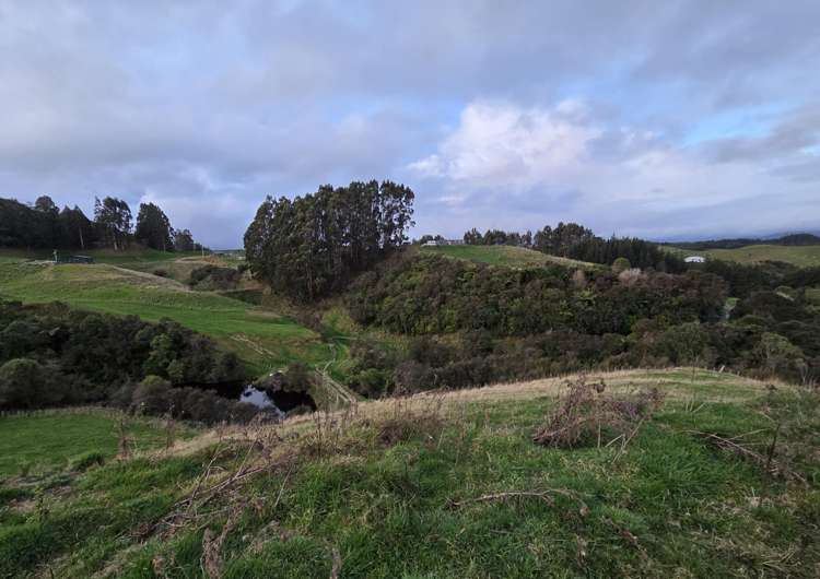 515 Zigzag Road Ashhurst_10
