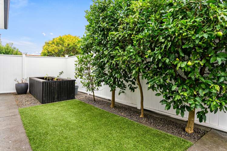 76 Neil Avenue Te Atatu Peninsula_20