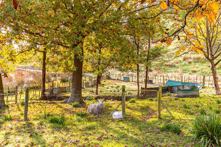 37 Creek Road Mangamahu_14