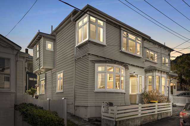 Nest or Invest in Central Mt Victoria