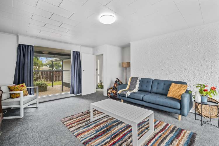 23 Mountbatten Place Tokoroa_5