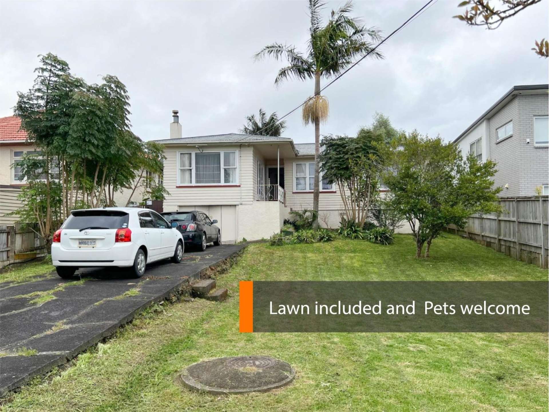 51 Arawa Street 1732_0