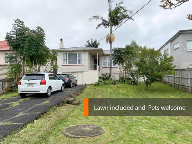 51 Arawa Street, New Lynn
