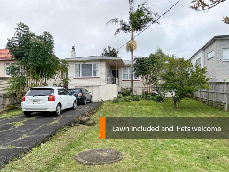 51 Arawa Street 1732_0