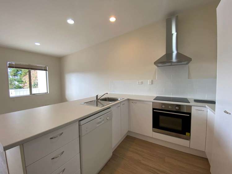 51 Palmgreen Court Stanmore Bay_1