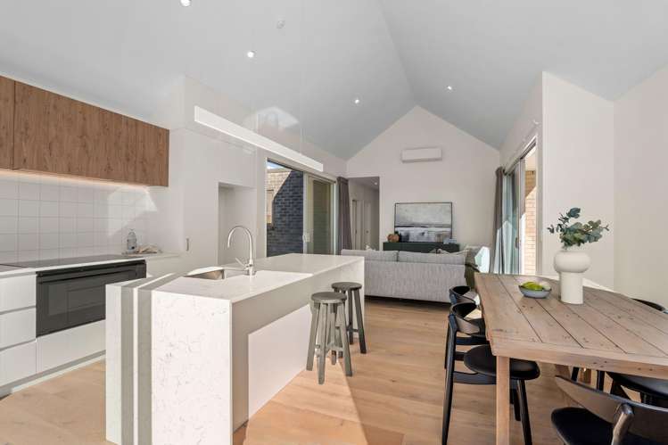 1 and 3 Shrubbery Lane_5