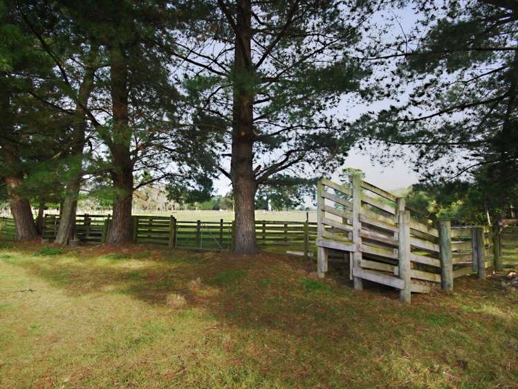 107 Norfolk Road Carterton_18