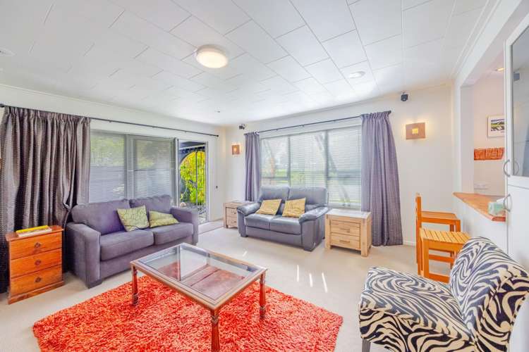 13 Westminster Avenue Tamatea_6