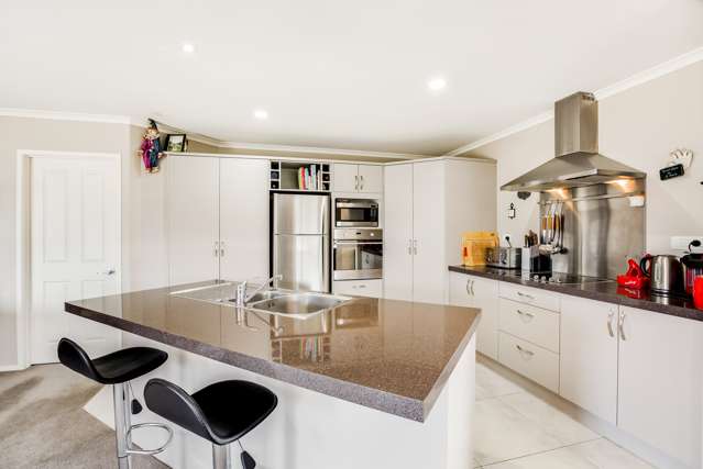 33 Twomey Drive Pukekohe_2