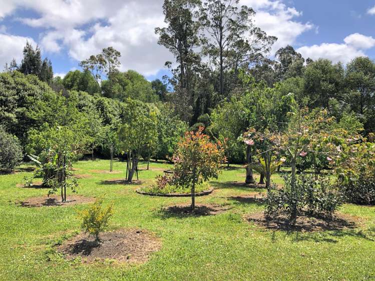 123b Wiroa Road Kerikeri_16