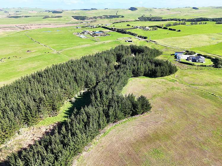 413A Baylys Coast Road Dargaville_15