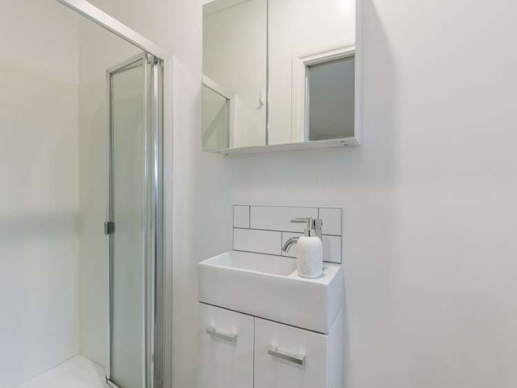 61 Ellesmere Avenue Miramar_12