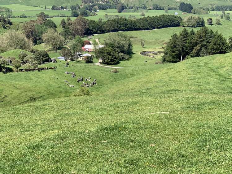 2896 State Highway 3 Awakino_27