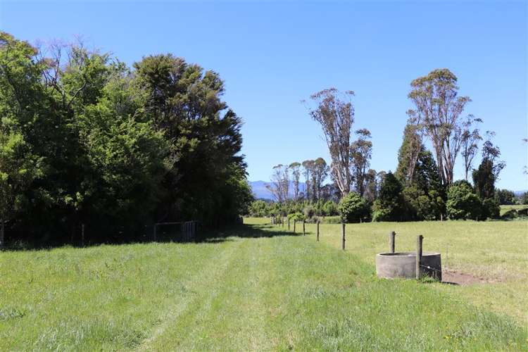 120 Patons Rock Road Kahurangi National Park_37