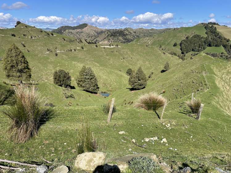 166 Saddler Road Ruapehu_13