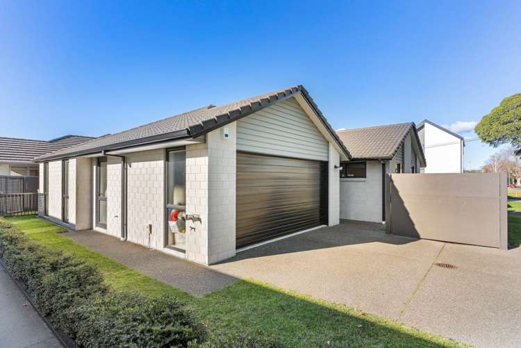 111a Seventeenth Avenue Tauranga South_2