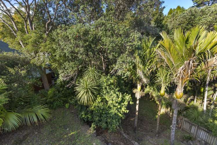 51 Clarendon Road St Heliers_6