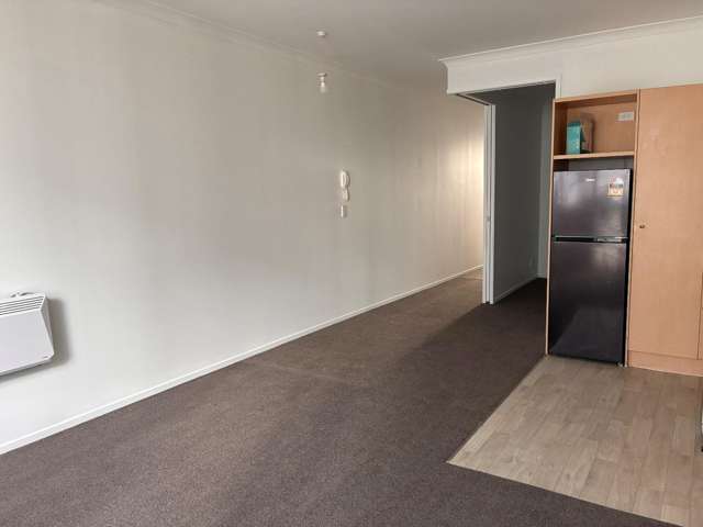 149 Nelson Street 10015_4