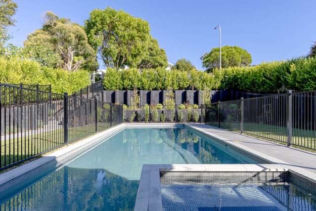 3 Glanville Terrace Parnell_1