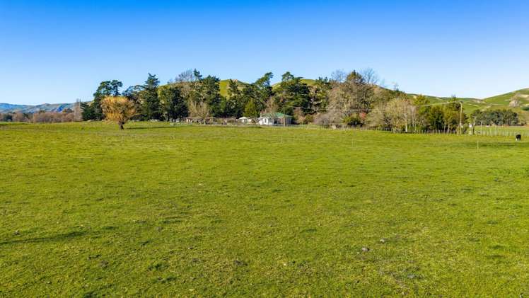 Lot Lot 1 & 2,/221 Tapairu Road Waipawa_19