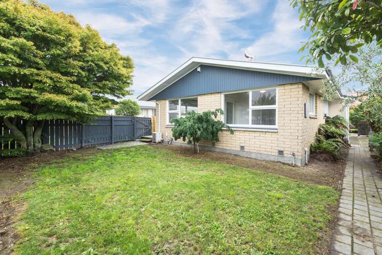 49 Woolley Street Avondale_14