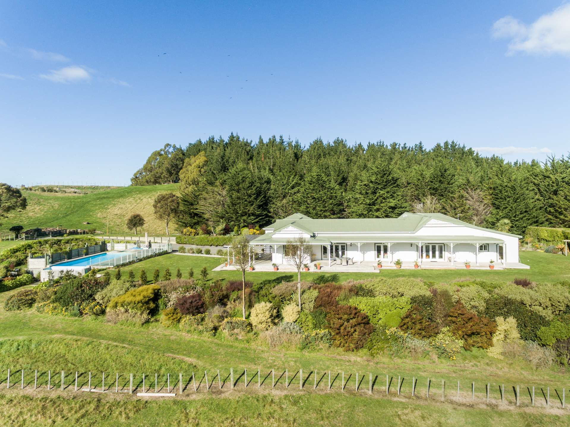 520 Swamp Road Puketapu_0