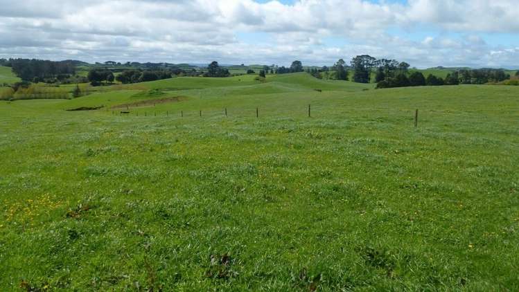 224 Croydon Road Midhirst_5