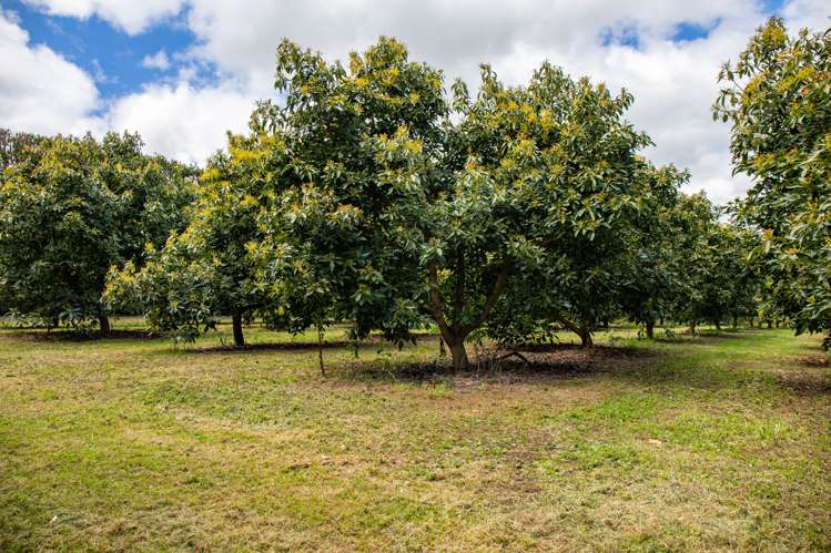 143 Norris Road Maungatapere_5