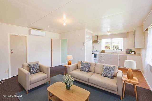 4 Alice Place Levin_1